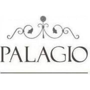 Palagio System Group