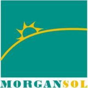 Recrutare si selectie de la Morgan Sol