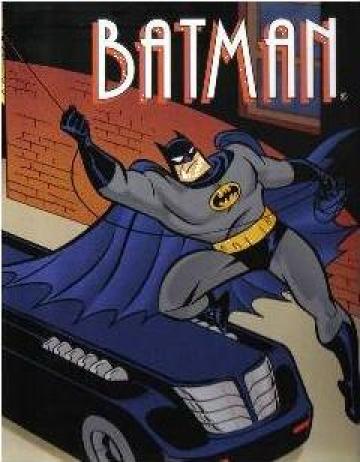 Carte copii Batman de la Intech Srl