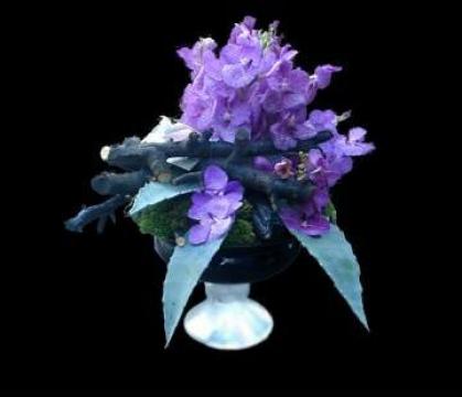 Buchete, cosuri si aranjamente florale de la Floraria Iris