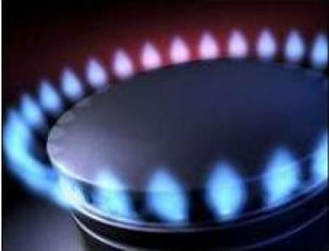 Reparatii / interventii gaze de la Energy Gas Provider