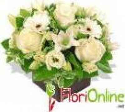 Flori aranjament Cub Alb de la S.c. Pan Distribution & Consulting S.r.l.