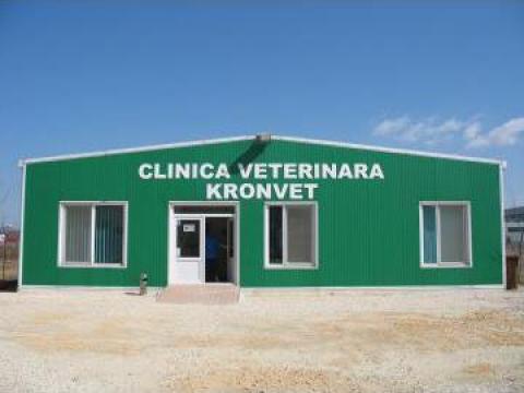 Servicii veterinare - sterilizare pisica de la Kronvet E.R. S.R.L.