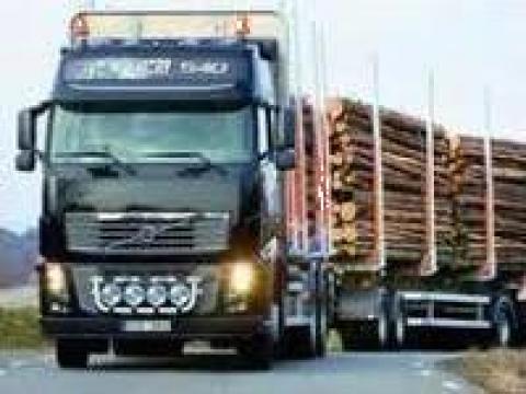 Transport de material lemnos de la Universal Spedition Srl