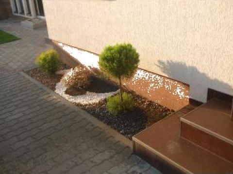Aranjament gradina mini cu plante