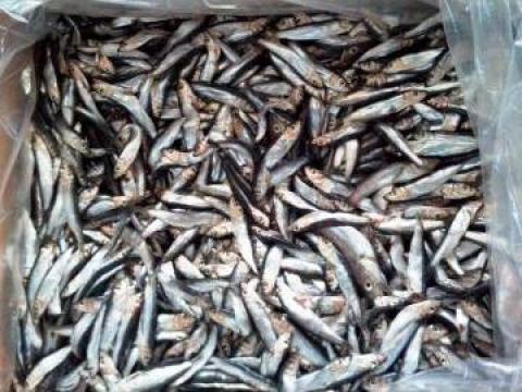 Sprot sarat Marea Neagra/Hamsie sarata de la Pastraviorul Euro Fish Srl
