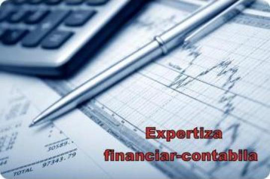 Expertiza financiar-contabila de la Maximconta