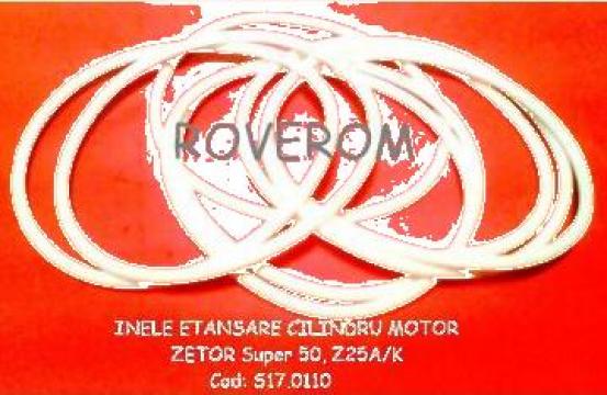 Inele etansare cilindru motor Zetor super 50, Zetor z25a/k de la Roverom Srl