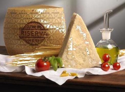 Parmezan Grana Padano de la Olandia Cheese Srl