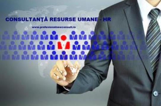 Servicii referent resurse umane / HR de la Profesional New Consult