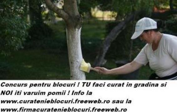 Varuire pomi la blocuri primavara, scara bloc de la Curatenie Subsol Lupulescu Robert