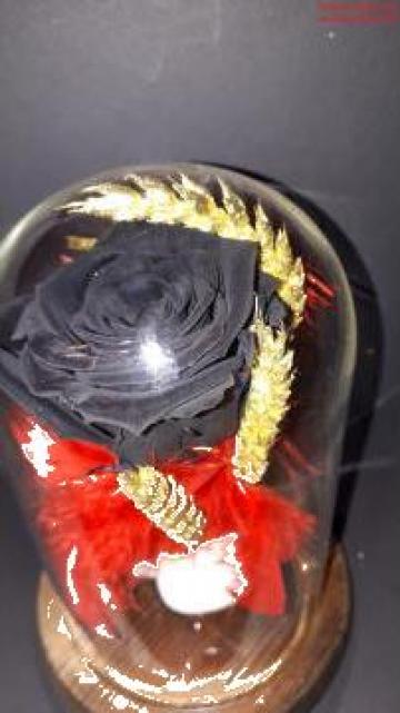 Trandafir negru criogenat de la La Gradina Stil