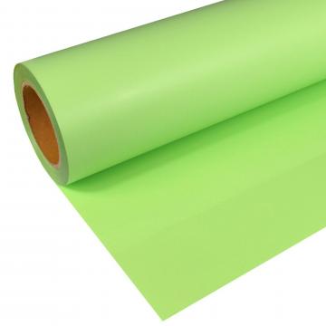 Folie termotransfer Sthals Cad-Cut Cportsfilm pastel green de la R&A Line Trade SRL