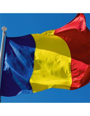 Steag Romania de la Color Tuning Srl