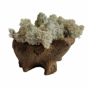 Aranjament licheni ghiveci decorativ galben M3 de la Decor Creativ