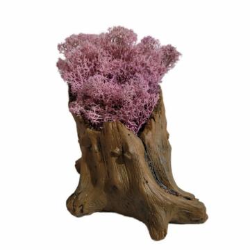 Aranjament licheni ghiveci decorativ roz M10