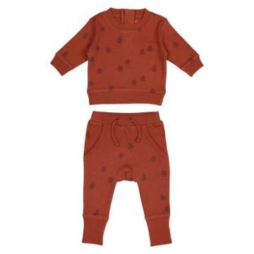 Set bebe cu pantaloni si hanorc, 100% bumbac Lovedbaby de la Stiki Concept Srl