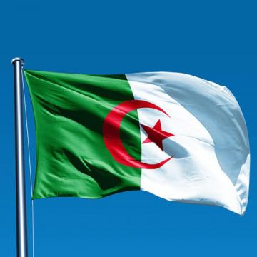 Steag Algeria de la Color Tuning Srl