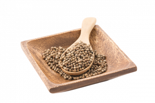 Coriandru borcan 100 gr de la Natural Seeds Product SRL