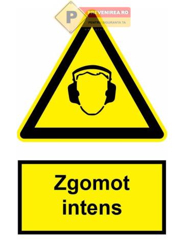 Indicator pentru zgomote intens de la Prevenirea Pentru Siguranta Ta G.I. Srl