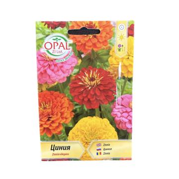 Seminte flori Zinnia (Carciumareasa), OpalZi Bulgaria de la Loredo Srl