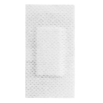 Plasturi material netesut 3 x 6 cm - 100 buc de la Medaz Life Consum Srl