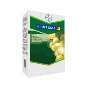 Fungicid Flint Max 75 WG, 1 kg, Bayer de la Dasola Online Srl