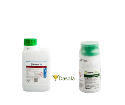 Fungicid 1 kg Chorus 50 WG + 0,5L Score de la Dasola Online Srl