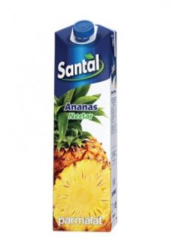 Nectar ananas Santal 1l