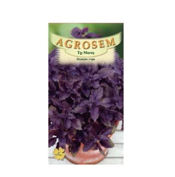 Seminte busuioc rosu Red Basil, 1 kg, Agrosem de la Dasola Online Srl