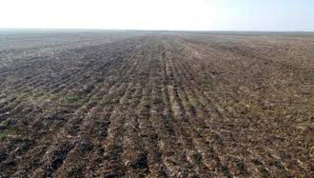 Teren agricol in comuna Potcoava din judetul Olt, 6 hectare