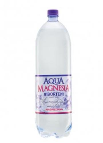 Apa Biborteni Aqua Magnezia Carbogazificata 2L SGR de la Supermarket Pentru Tine Srl