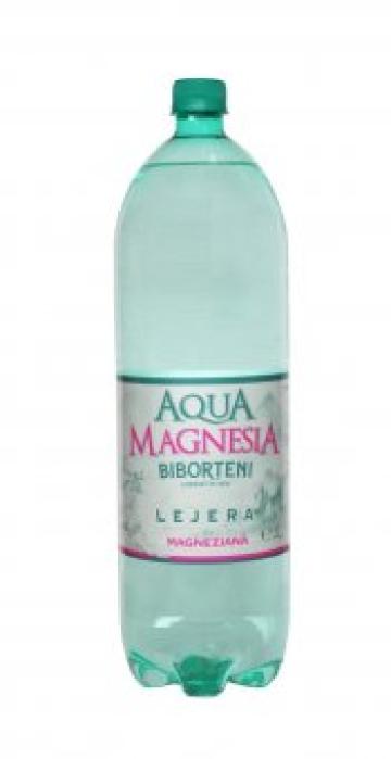 Apa Biborteni Aqua Magnezia Lejera 2L SGR de la Supermarket Pentru Tine Srl