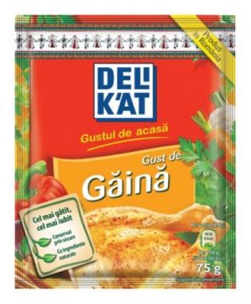 Condiment Delikat gust de gaina 75g de la Supermarket Pentru Tine Srl