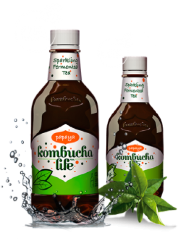 Bautura Kombucha Life cu papaya 500ml