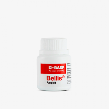 Fungicid sistemic Bellis 20 gr (mar, par) Basf