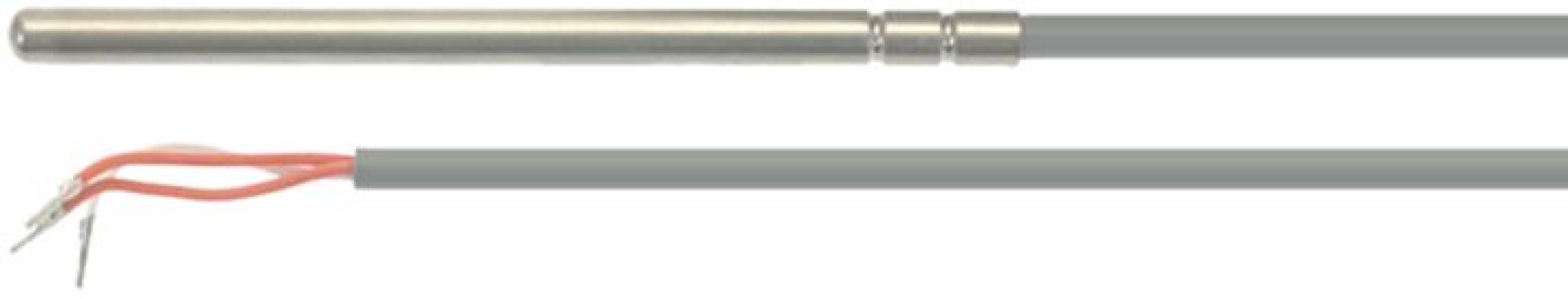 Sonda de temperatura PT10, bulb 6x100mm, lungime cablu 1460m de la Kalva Solutions Srl