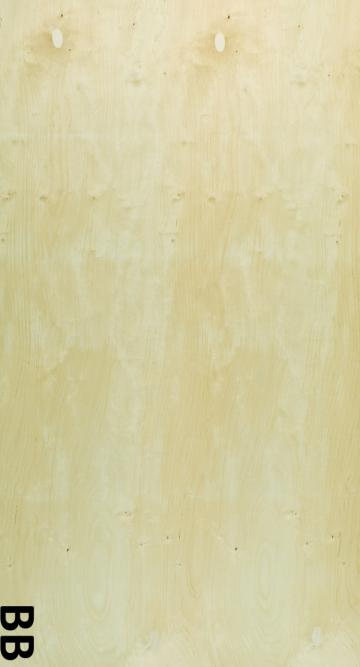 Placaj mesteacan BB/C 24mm 1525x1525mm de la URBANIX SRL