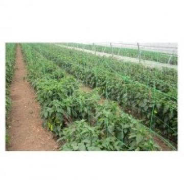 Plasa pentru plante / verde 150x150mm - 1.7x100m de la URBANIX SRL