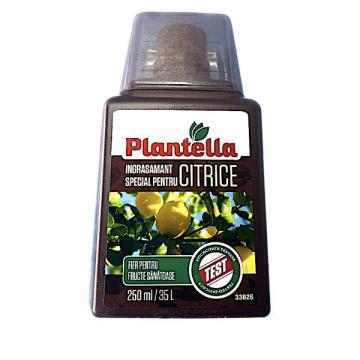 Ingrasamant pentru citrice Plantella 0,25l de la Loredo Srl