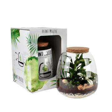 Kit bol Terariu Microclimat DIY