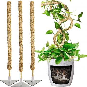 Stalpi ajustabili pentru sprijin plante de casa, set 3x76 cm