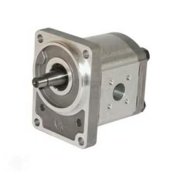 Motor hidraulic PLM20.11,2S0, 0199908N Casappa