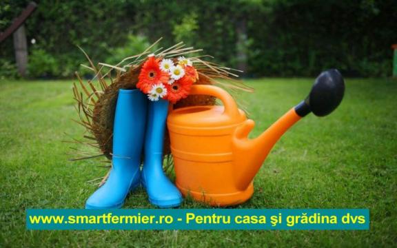 Scule si unelte pentru casa si gradina de la Dcb Smart Services Srl