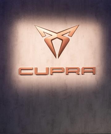 Spray vopsea auto Cupra preparat la culoarea masinii