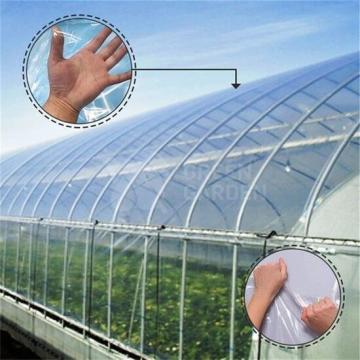 Folie solar Clara 200 microni, latime 16m de la Green Garden Srl