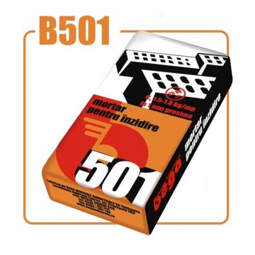 Mortar de inzidire Bega 501 / 30 kg de la URBANIX SRL