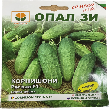 Seminte castraveti cornison Regina F1 1 gr Bulgaria