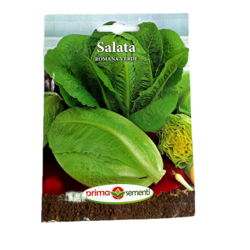 Seminte salata Romana Verde 3 gr, Prima Sementi