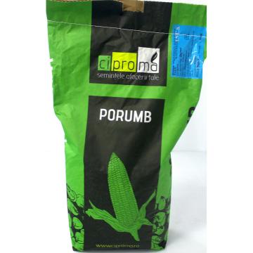 Seminte porumb ZP 341, 25.000 boabe, FAO 340, siloz, Ciproma de la Loredo Srl